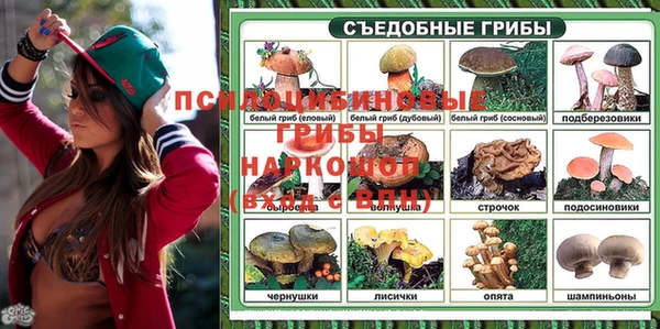 спиды Бронницы