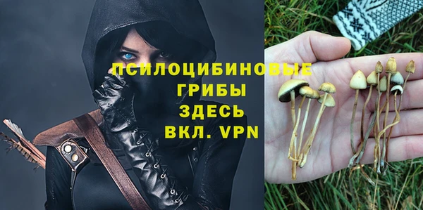 а пвп мука Бородино