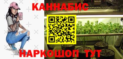 твердый Бийск