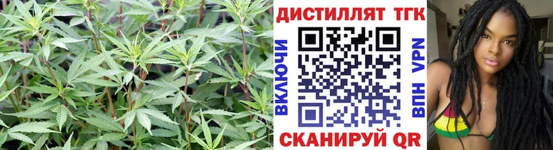 Дистиллят ТГК гашишное масло  магазин продажи   Бузулук 