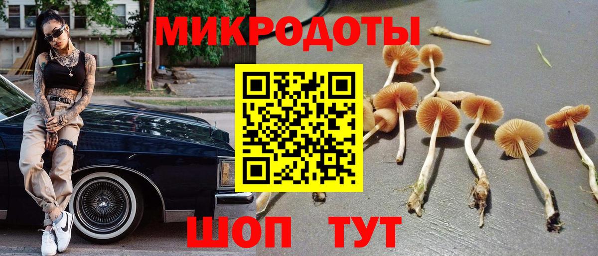 Галлюциногенные грибы мухоморы Бузулук